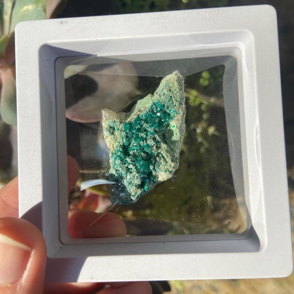 Dioptase crystal cluster rough specimen on matrix